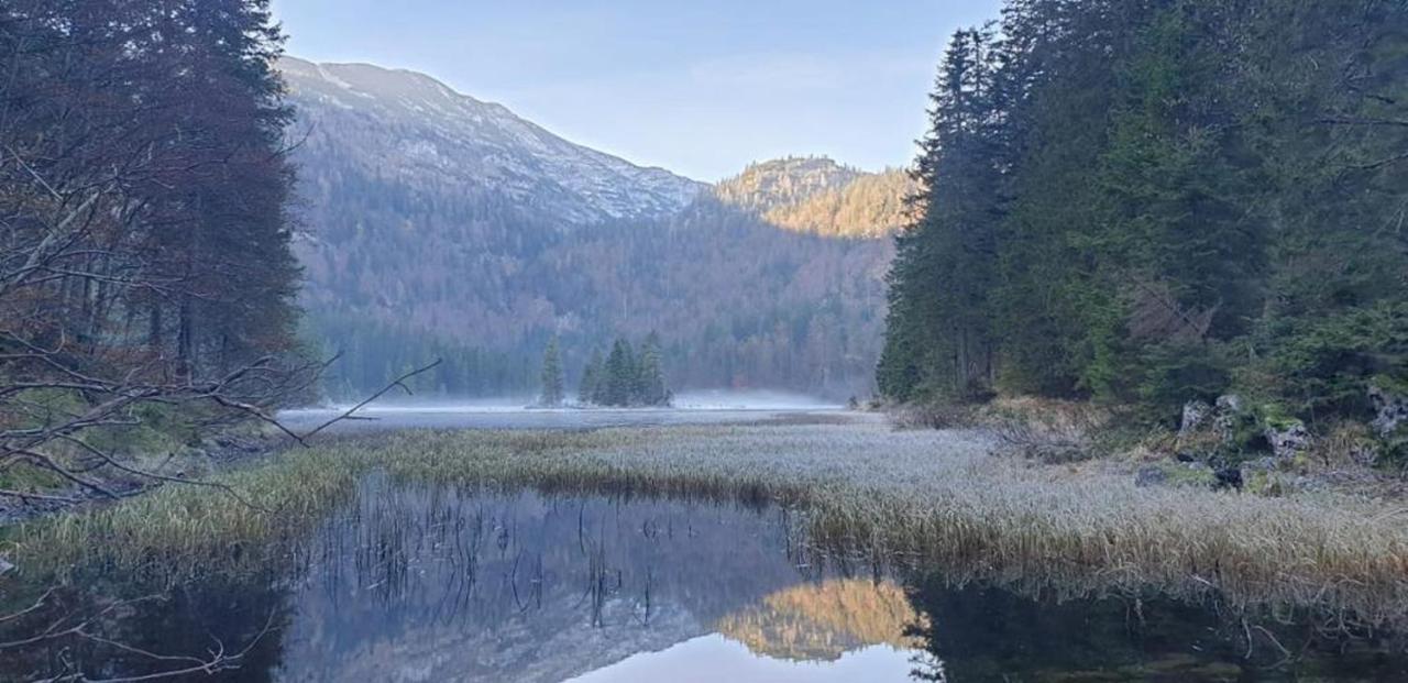 Ledererhof ルンツ・アム・ゼー エクステリア 写真